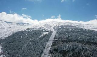 新疆阿勒泰下雪了