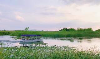 苏州太湖湿地公园