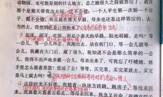 那个星期天课堂笔记