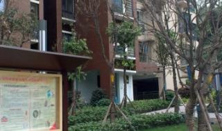 重庆杨家坪房屋出租