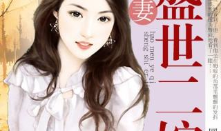 双男主高干的小说