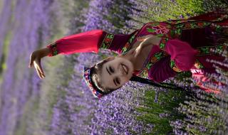 最近新疆伊犁咋了