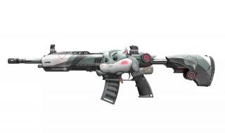 我想看和平精英图片