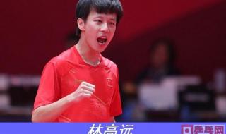 许昕正手用的什么胶皮