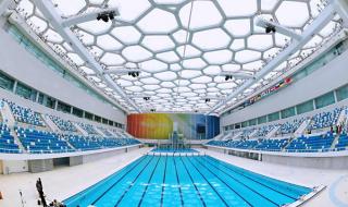 2026年冬奥会吉祥物